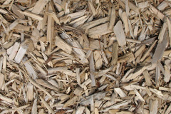 biomass boilers Seghill